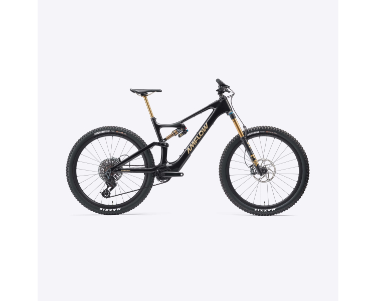 Seitenaufnahme des E-Mountainbikes amflow Carbon PL pro 800