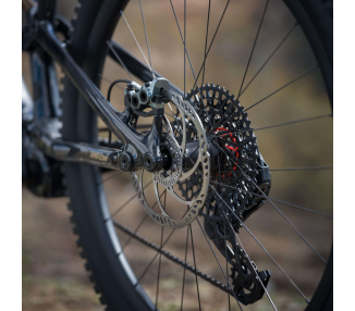 Amflow PL Carbon Pro 800