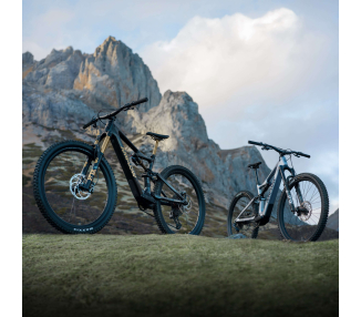 Amflow E-Mountainbikes vor Schweizer Bergen