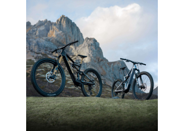 Amflow E-Mountainbikes vor Schweizer Bergen