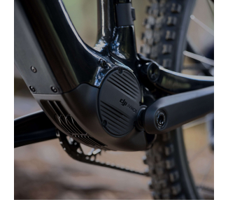 Amflow PL Carbon Pro 800