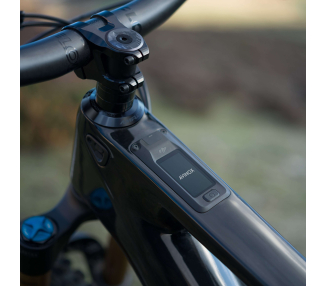 Amflow PL Carbon Pro 800