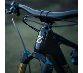 Steuerrohr vom ebike mit amflow Logo