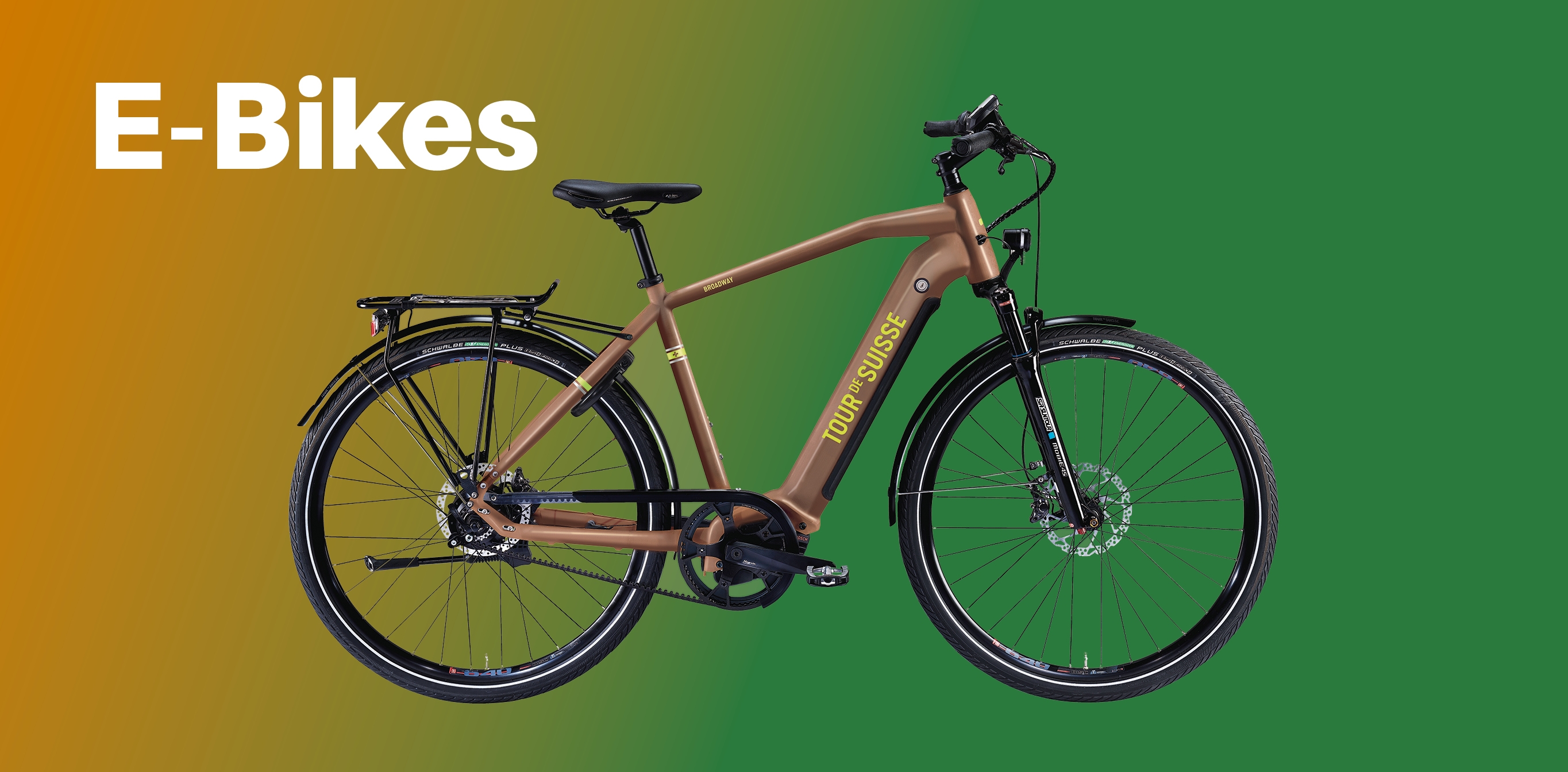 E-Bikes und Elektrovelos, 45 km/h oder 25 kmh/h online kaufen oder in Basel